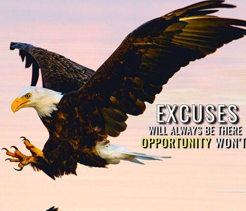 No more Excuses animal motivational Poster