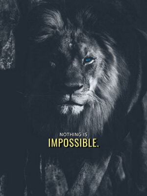 Nothing is impossible animal motivational Poster