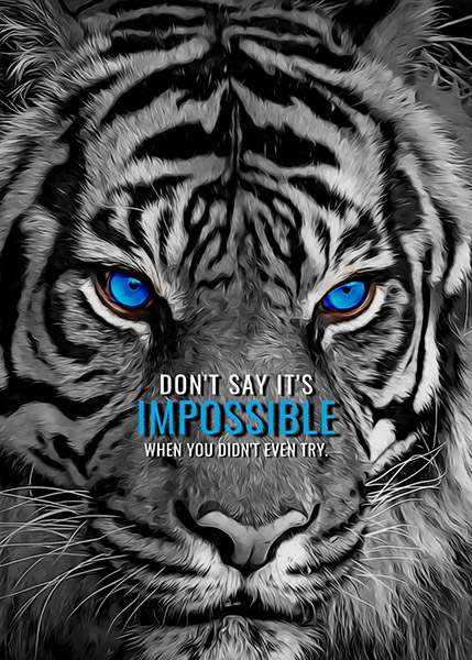 Nothing is Impossible animal motivational Poster