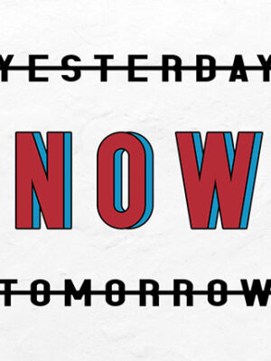 Now or Never motivational Poster