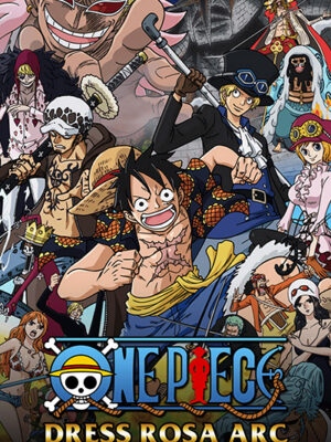 One Piece Dressrosa saga Poster