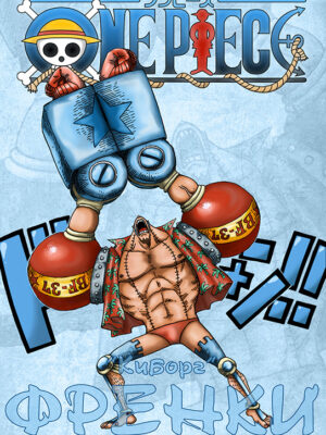 One Piece franky Poster