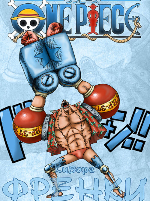 One Piece franky Poster