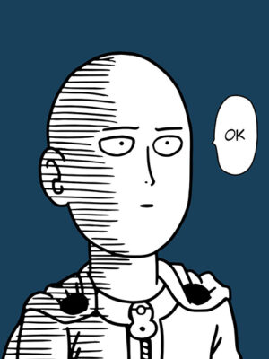 One Punch Man Saitama funny Meme Poster