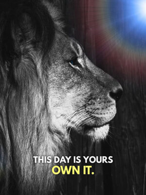Own your day animal motivational Poster