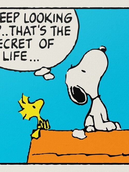 Peanuts - Keep Looking Up Poster