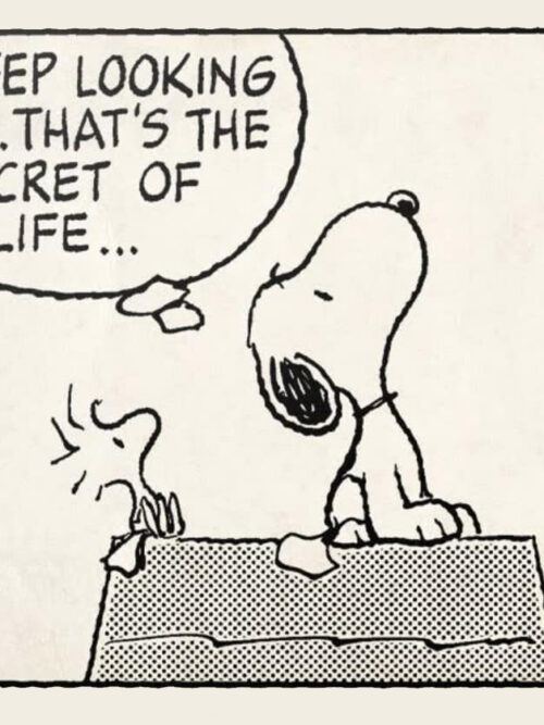 Peanuts - Keep Looking Up Poster