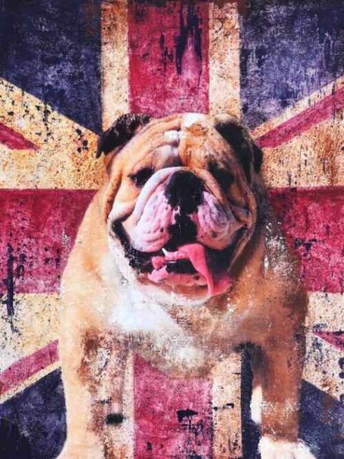 Pitbull England Flag Poster