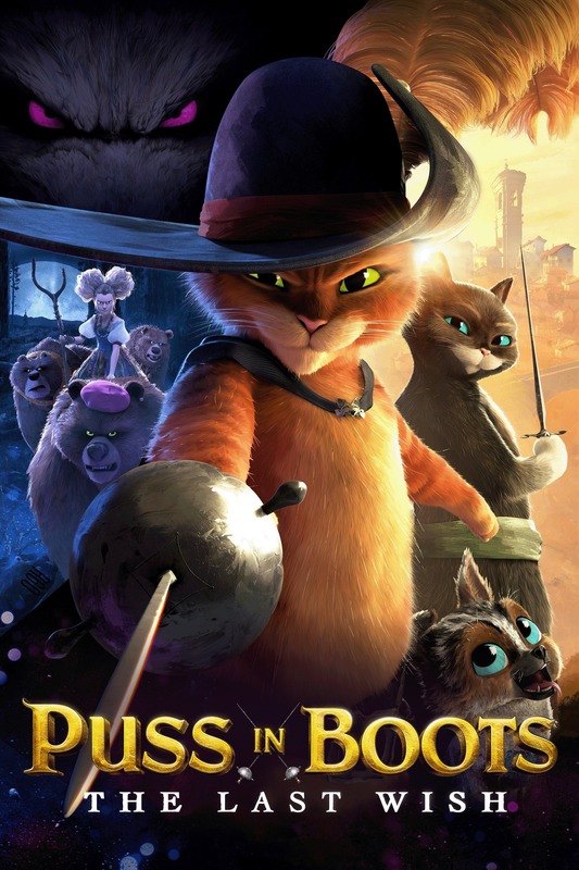 Puss In Boots The Last Wish 2022 Movie Poster
