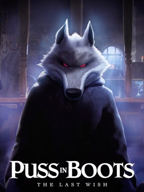 Puss In Boots The Last Wish 2022 Movie Poster