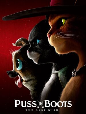 Puss In Boots The Last Wish 2022 Movie Poster