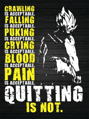 Quitting is Not Acceptable Motivational Dragon Ball Poster