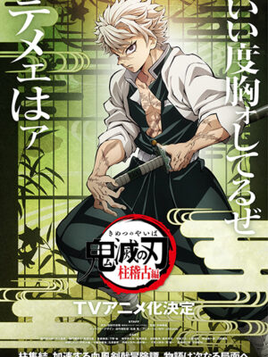 Sanemi Shinazugawa Wind Hashira Demon Slayer To the Hashira Training Poster