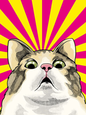 Scared Cat Meme Poster