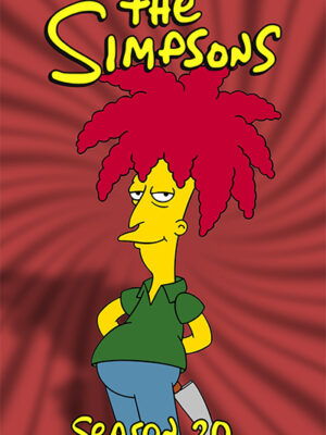 Season 20 The Simpsons Poster