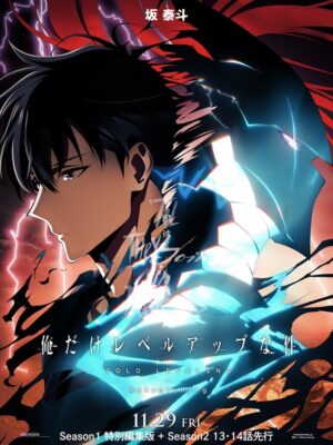 Solo Leveling Anime & Manga Poster