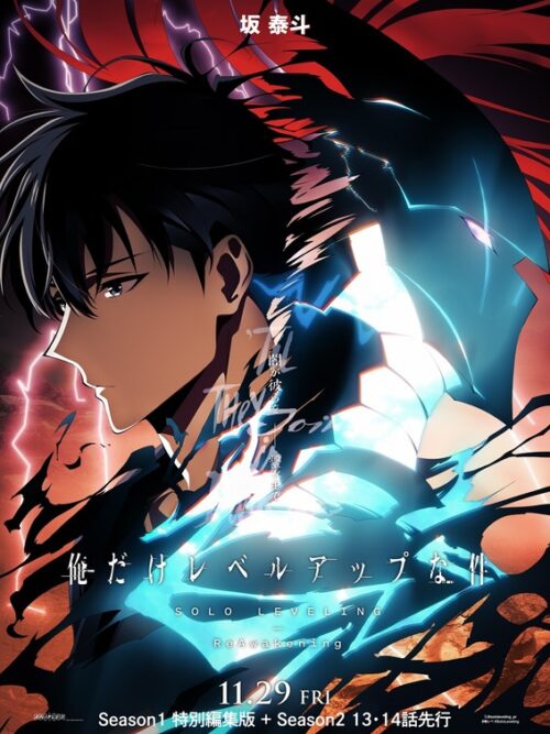 Solo Leveling Anime & Manga Poster
