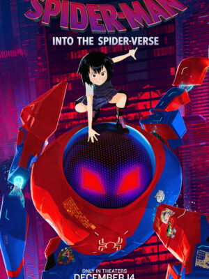 Spider Man Into The Spider Verse 2018 Movie Poster
