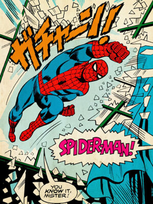 Spider Man You know it mister comic Poster