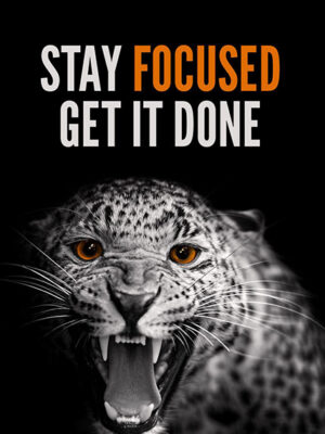 Stay Focused Get it done animal motivational Poster