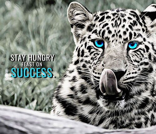 Stay Hungry Feast on Success animal motivational Poster