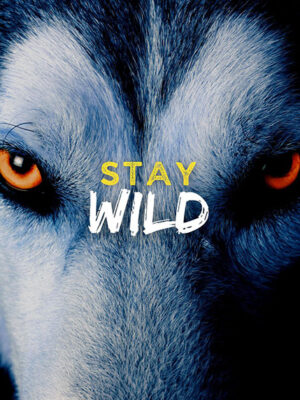 Stay Wild animal motivational Poster
