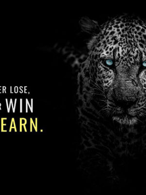 Steps to Victory animal motivational Poster