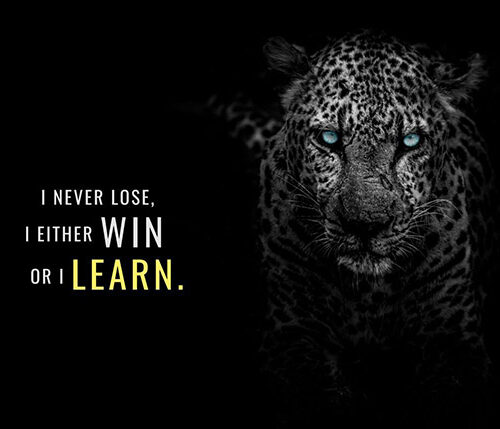 Steps to Victory animal motivational Poster