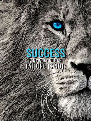 Success only option not failure animal motivational Poster