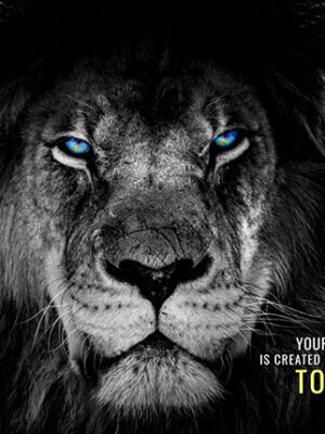 Success Starts Now or Never animal motivational Poster