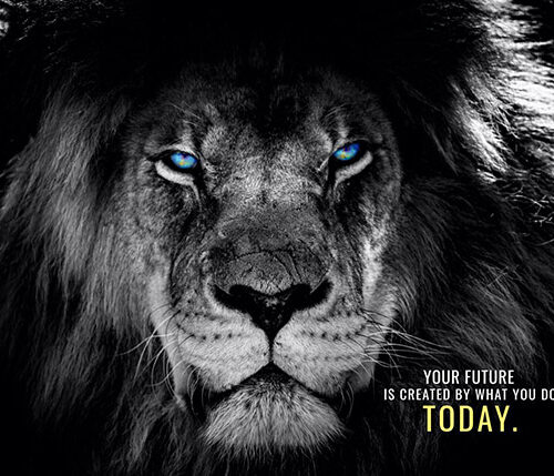 Success Starts Now or Never animal motivational Poster