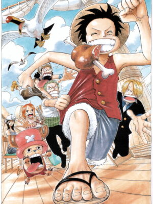 Summer One Piece Poster
