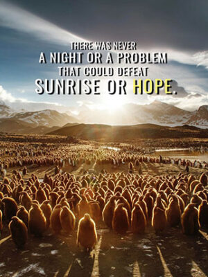 Sunrise or Hope animal motivational Poster