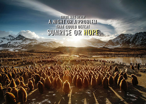 Sunrise or Hope animal motivational Poster