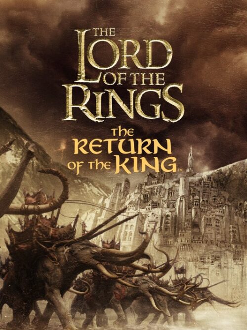The Lord Of The Rings The Return Of The King 2003 Movie Poster
