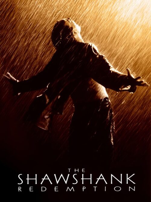 The Shawshank Redemption 1994 Movie Poster