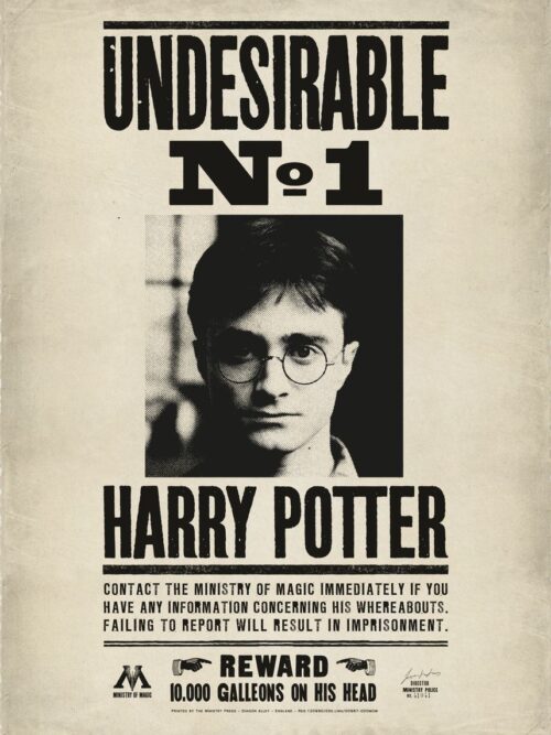 Undesirable No 1 Harry Potter Poster