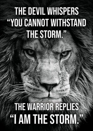 Warrior I AM The Storm Poster