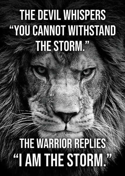 Warrior I AM The Storm Poster