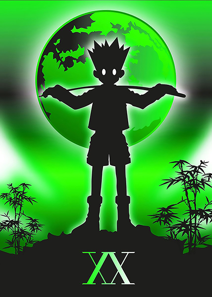 Wild Gon Freecss Hunter x Hunter Poster