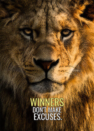 Winners don't make excuses motivational Poster