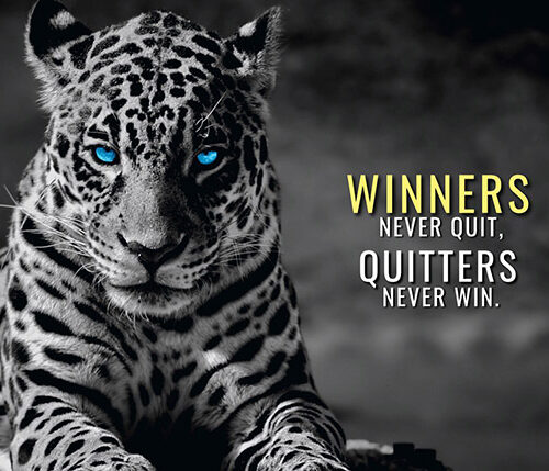 Winners Never Quit animal motivational Poster