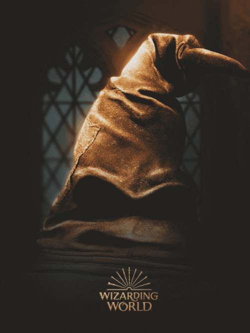 Wizarding World Of Harry Potter Collection Movie Poster