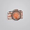 Aesthetic Camera Travels Stickers