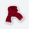 All Too Well Scarf