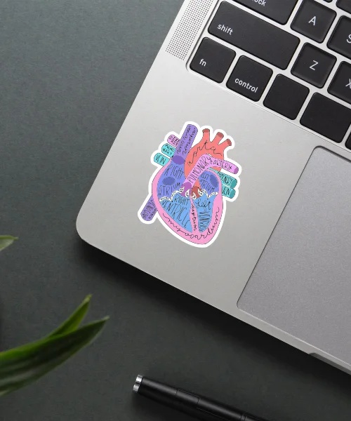 Anatomical Heart Sticker