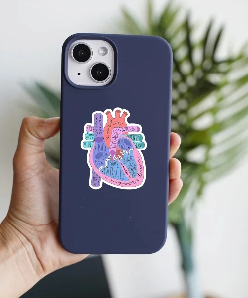 Anatomical Heart Sticker