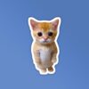 Angry Kitten Laptop Mobile Stickers