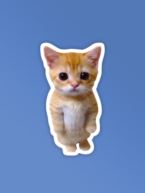 Angry Kitten Laptop Mobile Stickers