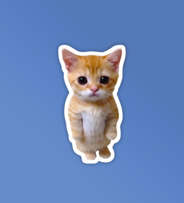 Angry Kitten Laptop Mobile Stickers Angry Kitten Laptop Mobile Stickers